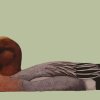 Pibeand